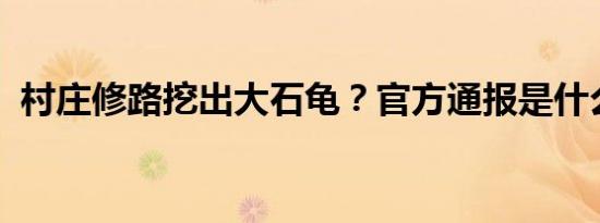 村庄修路挖出大石龟？官方通报是什么情况