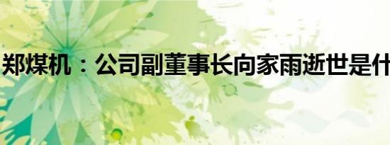 郑煤机：公司副董事长向家雨逝世是什么情况