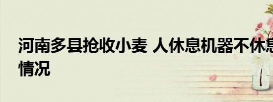 河南多县抢收小麦 人休息机器不休息是什么情况
