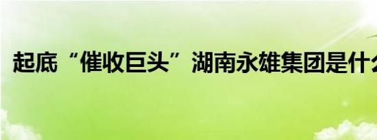起底“催收巨头”湖南永雄集团是什么情况