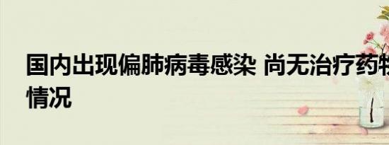 国内出现偏肺病毒感染 尚无治疗药物是什么情况