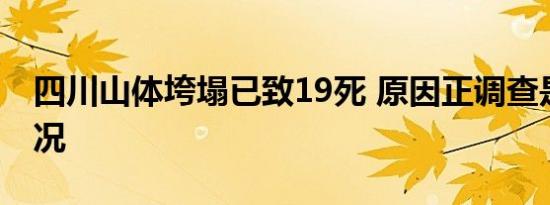 四川山体垮塌已致19死 原因正调查是什么情况