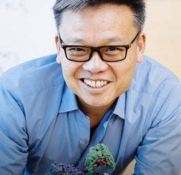 合成细胞粘附分子定制细胞间相互作用