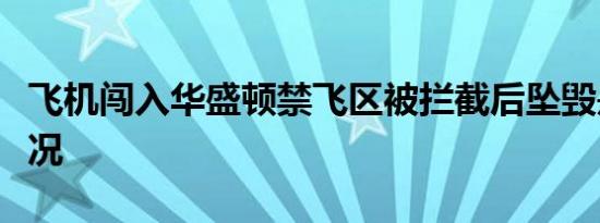 飞机闯入华盛顿禁飞区被拦截后坠毁是什么情况