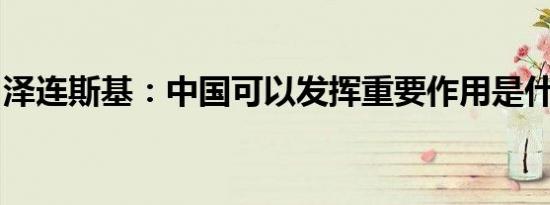 泽连斯基：中国可以发挥重要作用是什么情况