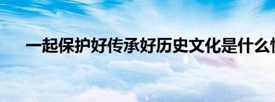 一起保护好传承好历史文化是什么情况