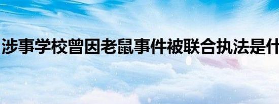 涉事学校曾因老鼠事件被联合执法是什么情况