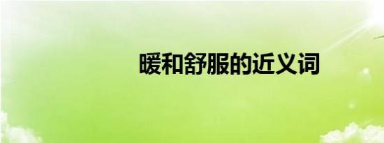 暖和舒服的近义词