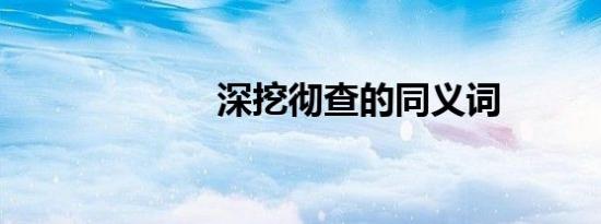 深挖彻查的同义词