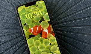 Apple将人们推向iOS16.5时旧iPhone软件被屏蔽