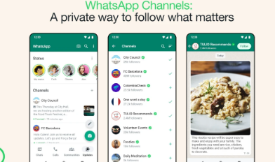 WhatsApp的新频道功能将Twitter的提要带到消息应用程序中