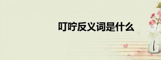 叮咛反义词是什么