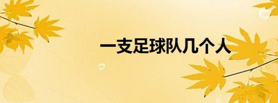 一支足球队几个人