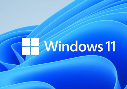 如何查看您在 Windows 11 中使用了多少数据