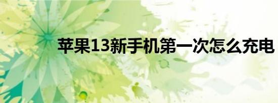 苹果13新手机第一次怎么充电