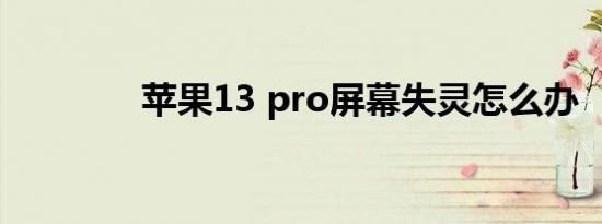 苹果13 pro屏幕失灵怎么办