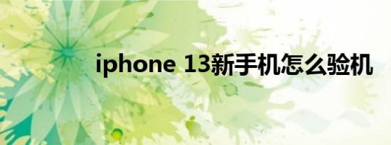 iphone 13新手机怎么验机