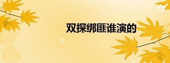 双探绑匪谁演的