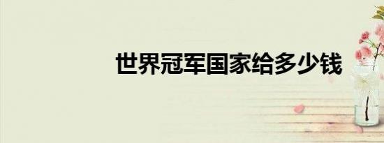 世界冠军国家给多少钱