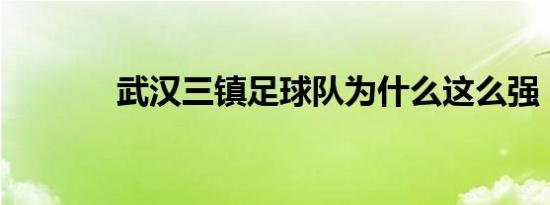 武汉三镇足球队为什么这么强