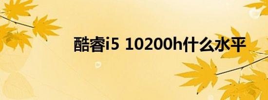 酷睿i5 10200h什么水平
