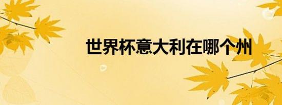 世界杯意大利在哪个州