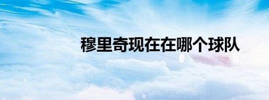 穆里奇现在在哪个球队