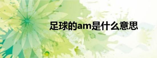 足球的am是什么意思