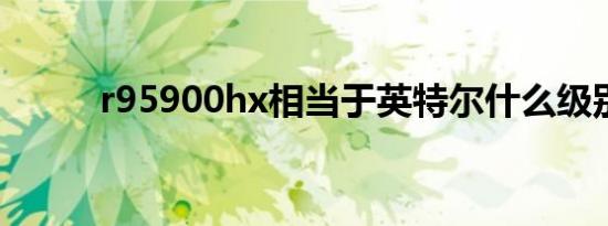 r95900hx相当于英特尔什么级别