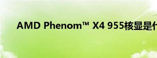 AMD Phenom™ X4 955核显是什么