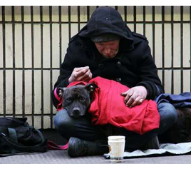 研究发现狗为无家可归者提供重要支持