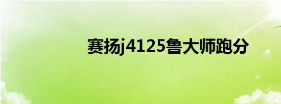 赛扬j4125鲁大师跑分