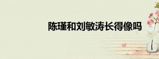 陈瑾和刘敏涛长得像吗