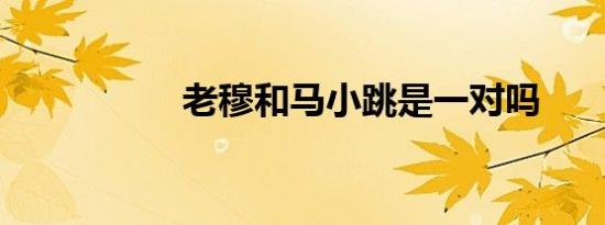 老穆和马小跳是一对吗
