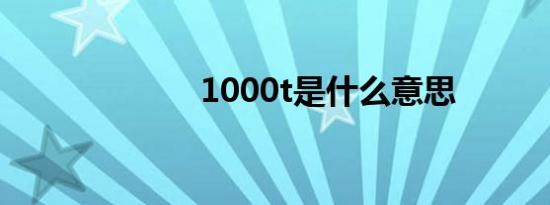 1000t是什么意思