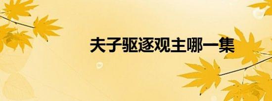 夫子驱逐观主哪一集