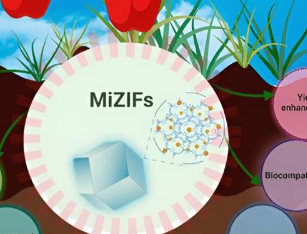 研究人员制定微量营养素的受控输送以促进植物生长