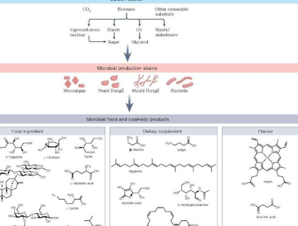 系统代谢工程微生物细胞工厂作为环保食品和化妆品着色的来源