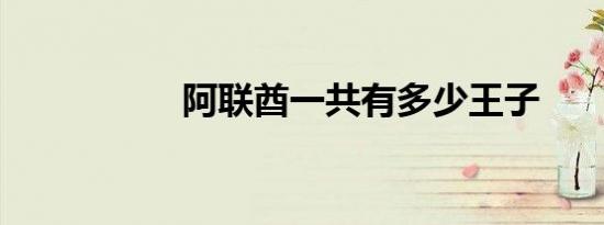 阿联酋一共有多少王子