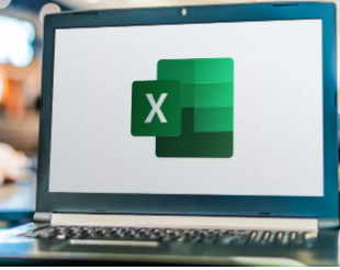 MicrosoftExcel确实希望您将图片放入电子表格中