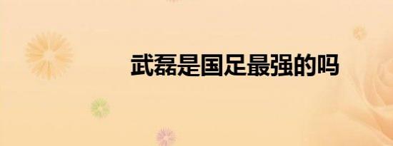 武磊是国足最强的吗