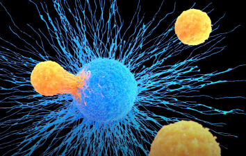 NeoScreen产生大量肿瘤破坏免疫细胞