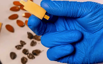 这种可食用电池可以为诊断和可持续能源领域提供动力