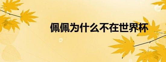 佩佩为什么不在世界杯