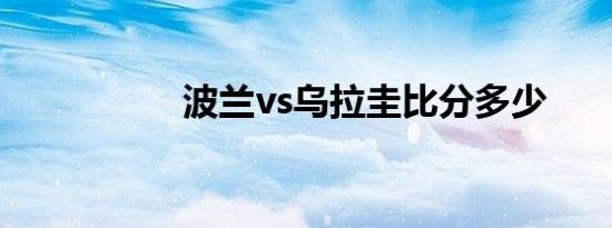 波兰vs乌拉圭比分多少