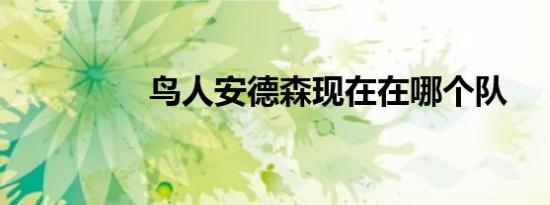 鸟人安德森现在在哪个队