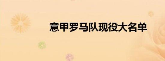意甲罗马队现役大名单