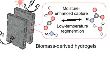 研究人员开发了一种可持续的凝胶膜来捕获二氧化碳同时降低能源成本