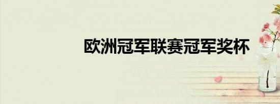 欧洲冠军联赛冠军奖杯