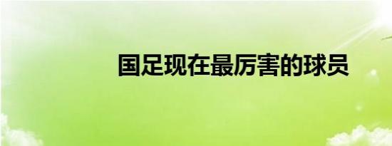 国足现在最厉害的球员